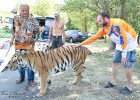 img-5690