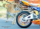 img-5694